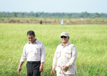 Swasembada Pangan Indonesia Kembali Terwujud di Era Prabowo