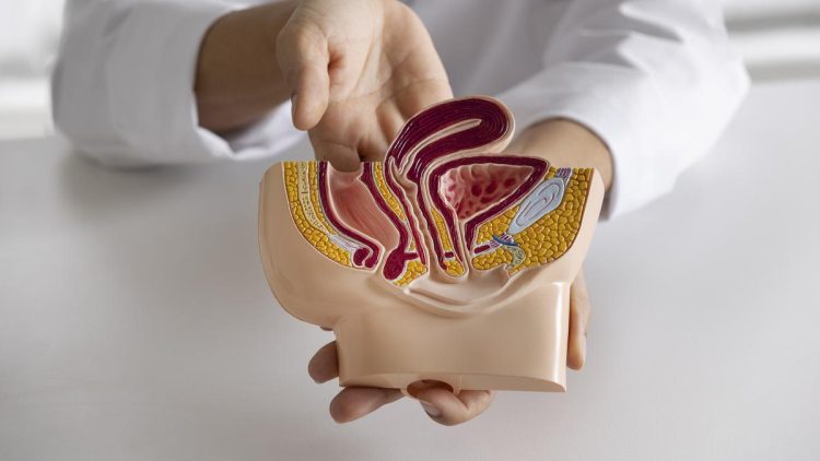 5 Pola Makan dan Gaya Hidup Pemicu Wasir atau Ambeien Menurut Dokter