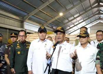 Mentan Endus 1.000 Ton Beras Selundupan di Kepulauan Riau