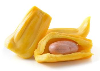 Makan Biji Nangka Rebus Dapat Menyebabkan 5 Efek Samping Ini