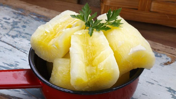 7 Dampak Negatif Konsumsi Singkong Terlalu Banyak bagi Kesehatan