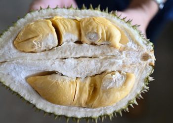 7 Jenis Makanan yang Harus Dihindari Saat Makan Durian