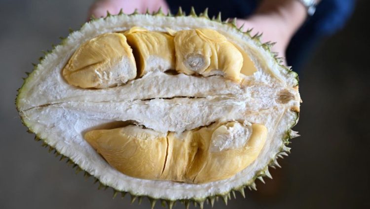 7 Jenis Makanan yang Harus Dihindari Saat Makan Durian