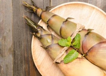 5 Manfaat Rebung untuk Kesehatan dan Cara Turunkan Kolesterol