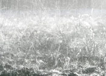 Cuaca dan Risiko Modifikasi di Musim Hujan Menurut Ahli IPB