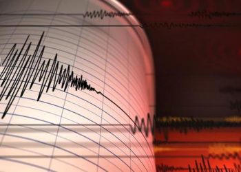 Gempa Magnitudo 4,8 Guncang Warga Keerom Papua Sabtu Dini Hari