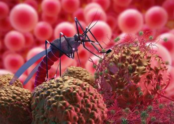 DBD Masih Mengancam Walau Angka Kematian Selalu Berkurang