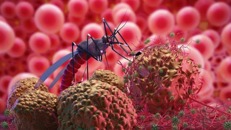 DBD Masih Mengancam Walau Angka Kematian Selalu Berkurang